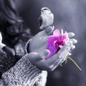 Meet your Posher, Angel